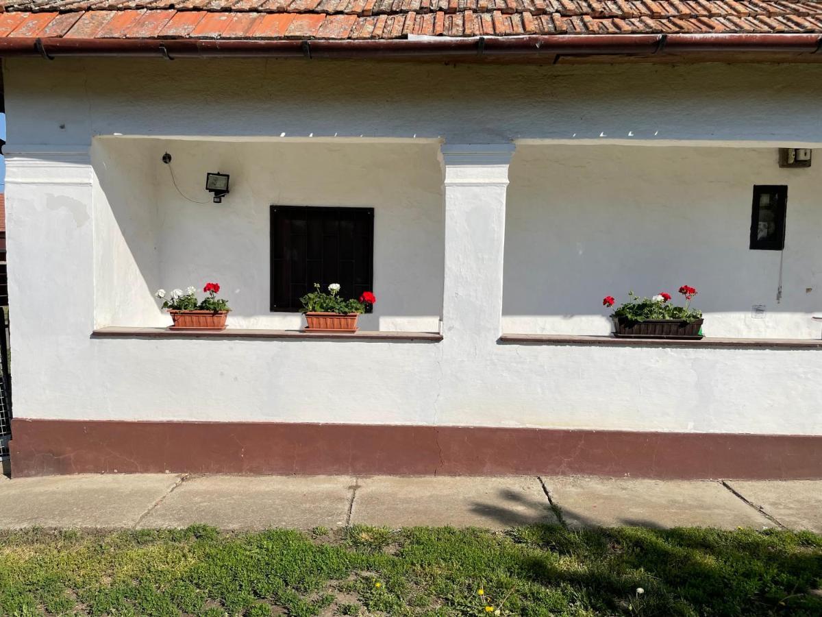 Zsuzsa Apartman Apartment Poroszlo Exterior photo